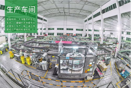 風華正青年 麥玉芬與她的15年果醋發酵工藝研發之路